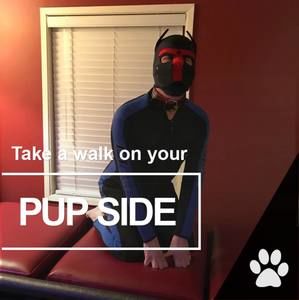 Meet your Posher, Steven